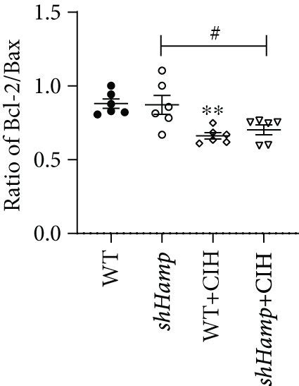 The Apoptosis In The Hippocampus Of Wt And Shhamp Mice Exposed To Cih Download Scientific