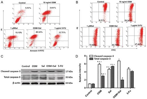 Osm And Sal Induce Lcsc Apoptosis A Flow Cytometric Analysis Of Download Scientific Diagram