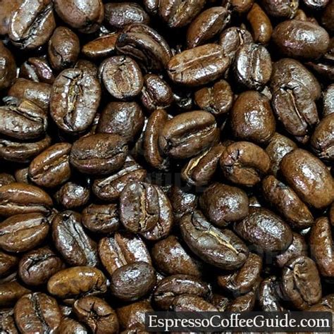 Mocha Java Coffee Beans - Espresso & Coffee Guide