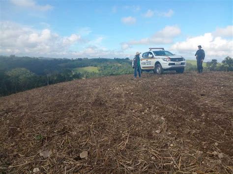 Operação De Combate A Crimes Ambientais Fiscaliza Focos De Desmatamento