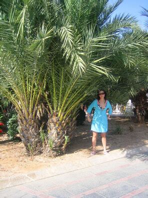 Amateur Lovers 8877 IMG 52 Porn Pic