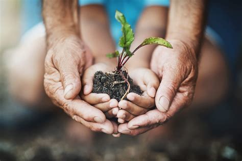 Meio ambiente Como preservar o meio ambiente Dicas Ciências