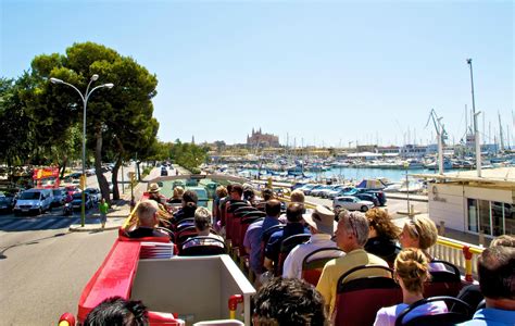 City Sightseeing Palma De Mallorca 2024 All You Need To Know Before