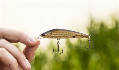 Bassmaster Gear The Top 5 Baits For Bass Fishing Artificial Camping