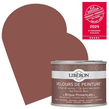 Peinture pour murs Velours de Peinture brique provençale mat 0 125 L