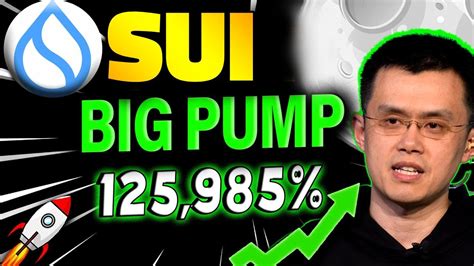 Sui Huge Pump By Here S What S Going To Happen Sui Price