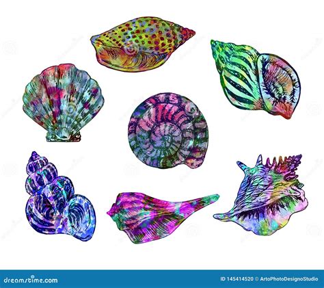 Seashell Collection Isolated Illustration, Hand Painted Colorful Watercolor Splashes Stock ...