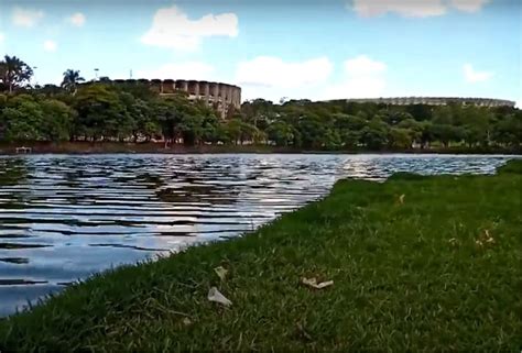 Onda De Calor Mata Quase Peixes Na Lagoa Da Pampulha Em Bh