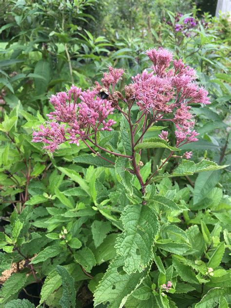 Current Pricing and Service Packages at Pye OH III Funeral Home 15