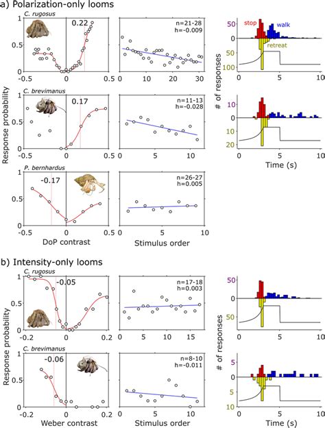 Responses Of Hermit Crab Species To Visual Stimuli Presented In A