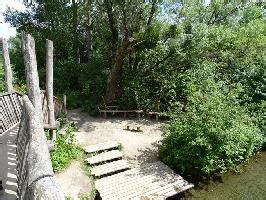 Bild Auen Wildnispfad Neuried Sitzgelegenheiten Lehnerrheinbrücke