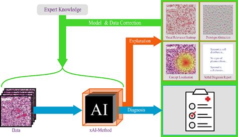 Figure 1 From Achievements And Challenges In Explaining Deep Learning Based Computer Aided