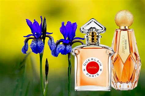 5 Striking Perfumes With Iris For Women Viora London