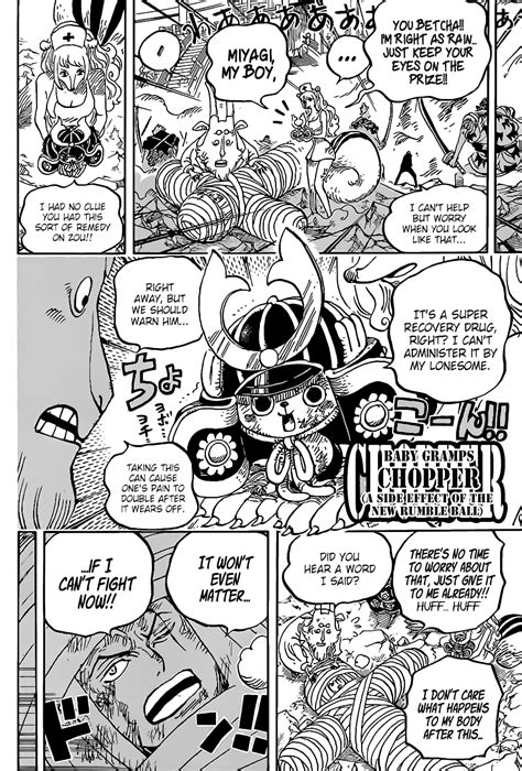 One Piece Manga Chapter 1017