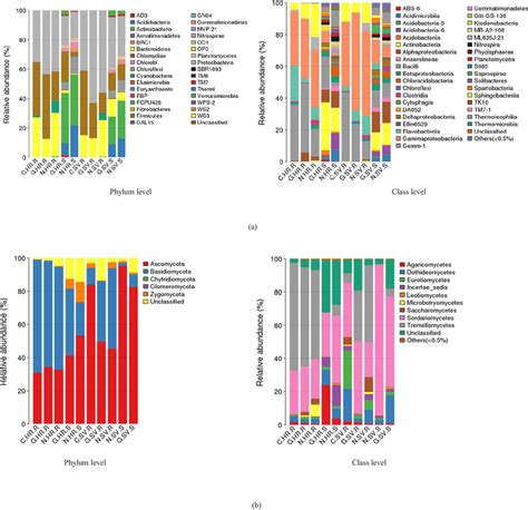 The Composition And Relative Abundance Of Major Bacterial And Fungal