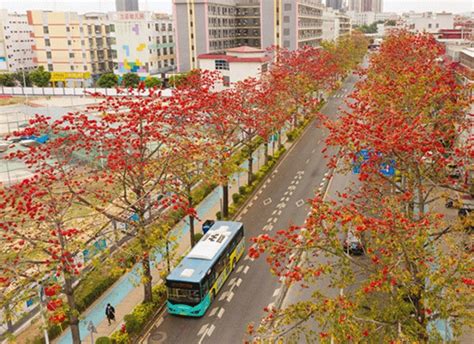 走，一起来看深圳的“花花世界”！深圳新闻网