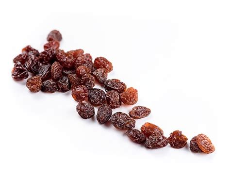 Production Du Raisin Sec Raisins Secs D Afrique Du Sud