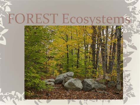 FOREST Ecosystems