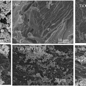 A Sem Observation Of Tio Ac Composites And B Edx Mapping Of