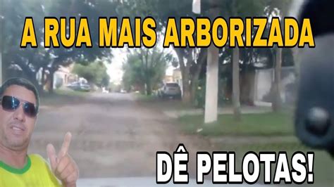 ESSA RUA É A MAIS ARBORIZADA DE PELOTAS boravê RelembrarEViver