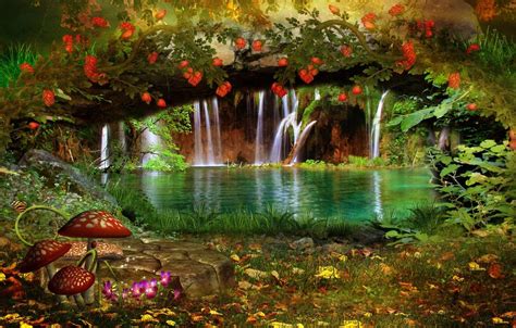 Flowers And Mushrooms Wallpapers Wallpaper Cave