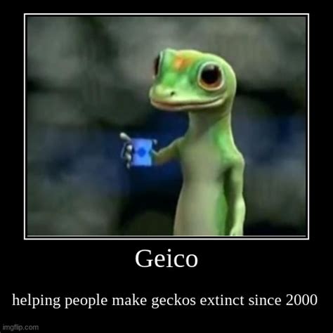 Geico Imgflip