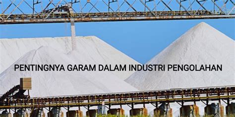 Pentingnya Garam Dalam Industri Pengolahan Serikat Pekerja Nasional