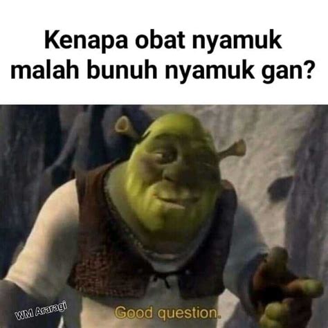 Meme Good Question Yang Bikin Ngakak Gak Abis Pikir