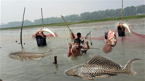 আশ্চর্যজনক মাছ ধরার অদ্ভুত এক অভাক কান্ড।। নদীর থেকে নতুন প্রজাতির মাছ