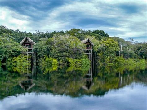 Visit Colombia Amazon Rainforest With Luxury Travel Packages Landed