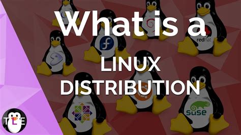 Linux DISTRIBUTION Explained YouTube