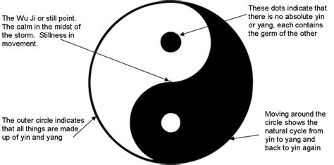 The Yin Yang Symbol Is The Origin Of The Cro Magnum Symbol Find Out