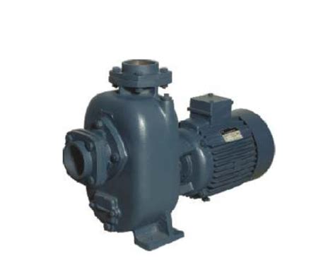 Buy Crompton Greaves Dwcq5 5 Hp Single Phase 1430 Rpm Dewatering Pumps Online At Best Rates In