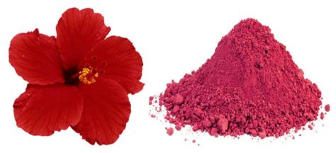 Hibiscus Flower Powder 4 X 50g