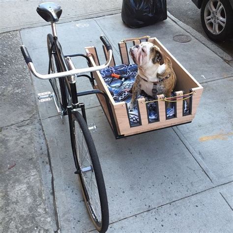 bpormenores | Biking with dog, Bicycle sidecar, Bicycle