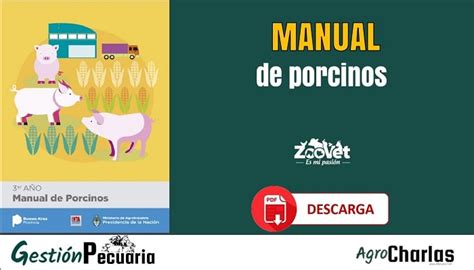 Libro Reproducción del Cerdo Una Visión Practica en PDF