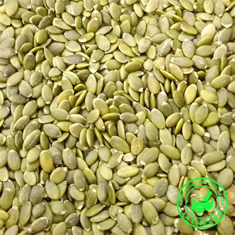 Natural Green Pumpkin Seeds Packaging Type Loose At Rs 395 Kg In