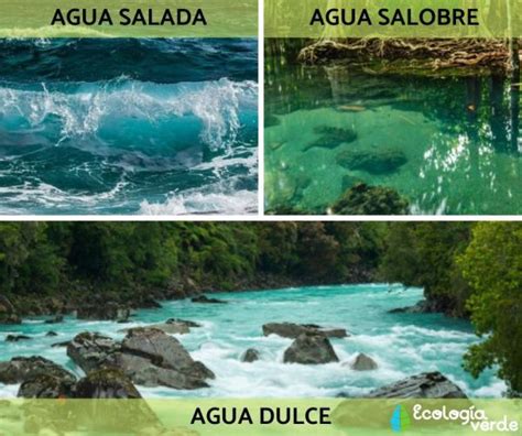 Tipos De Agua Clasificaci N Nombres Caracter Sticas Y Fotos