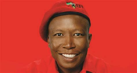 ballad  julius malema  chatgpt techcentral