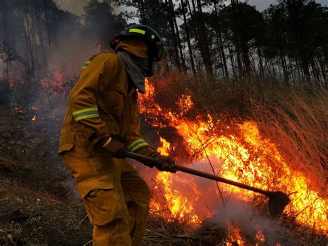 Más De 211 Mil Hectáreas Han Sido Afectadas Por Incendios Forestales En