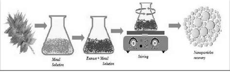 biosynthesis schematic  scientific diagram