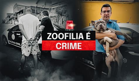 O Que Significa Zoofilia - ZOOFILIA É CRIME | Marcelo Queiroz