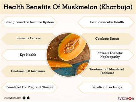 Muskmelon Kharbuja Benefits And Its Side Effects Lybrate