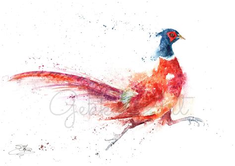 Running Pheasant Original Watercolour Painting