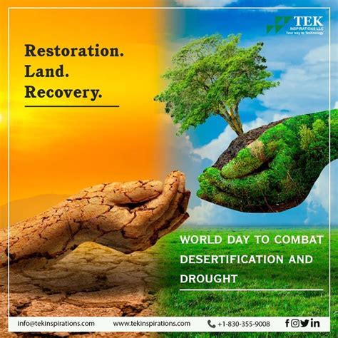 World Day To Combat Desertification And Drought In World Days