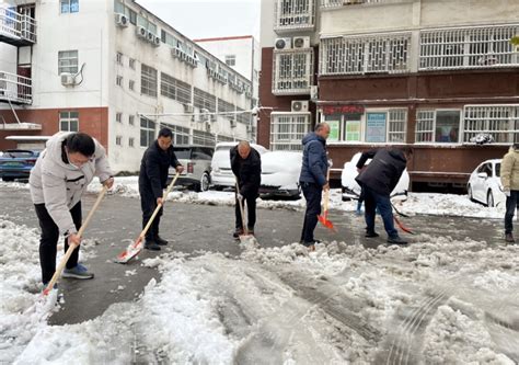 博学路办事处贾岗社区开展“除雪保畅通”志愿服务活动 大河新闻