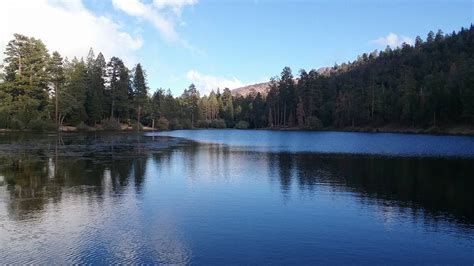 Campgrounds and Parks in San Bernardino National Forest, California ...