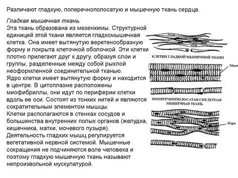 Типы тканей - online presentation