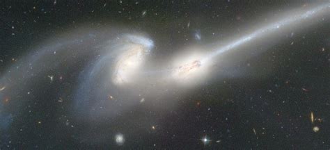 Mice Galaxies - Alchetron, The Free Social Encyclopedia