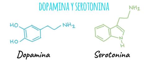 Serotonina Si Dopamina Img Aba